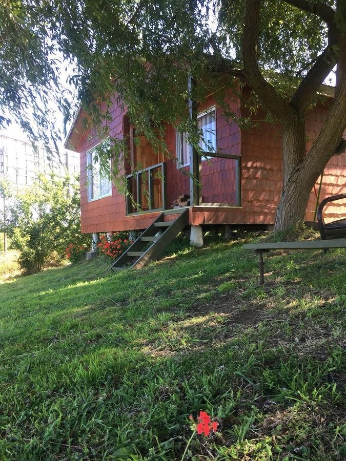 Cabana Vista Al Lago Llanquihue Luaran gambar
